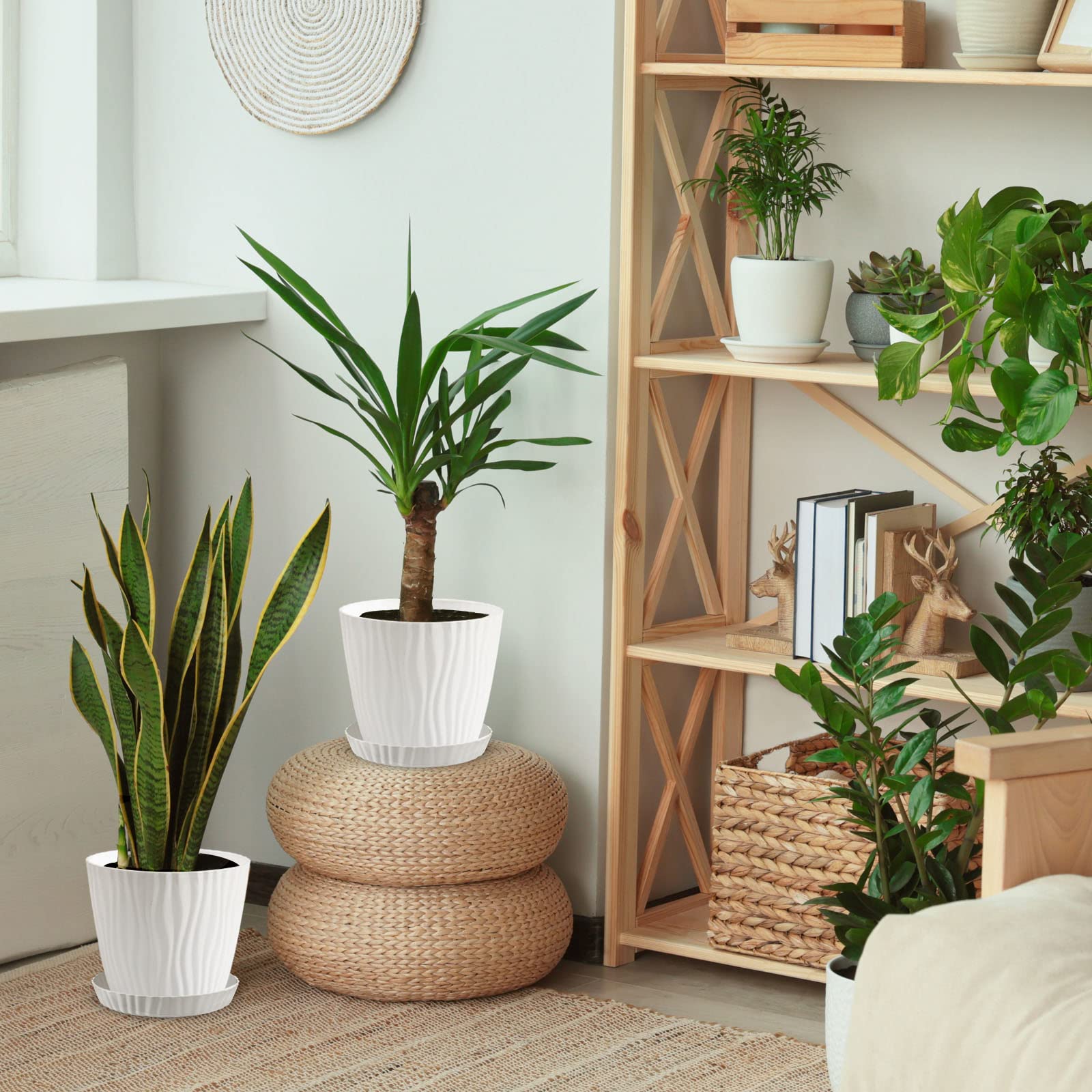 Amazon.co.jp: 植木鉢6個セット 7インチ ホワイトプランター 屋内植物
